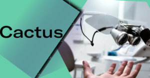 Cactus Acquires Healthcare Software Firm Lightmatter